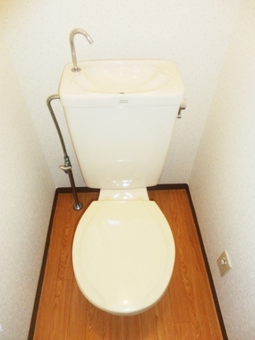 Toilet. Western-style toilet