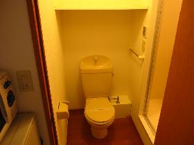 Toilet. Current state priority