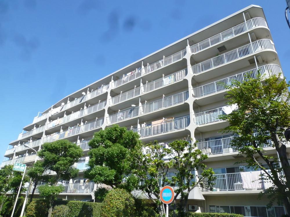 Local appearance photo. 2013 October 13, shooting