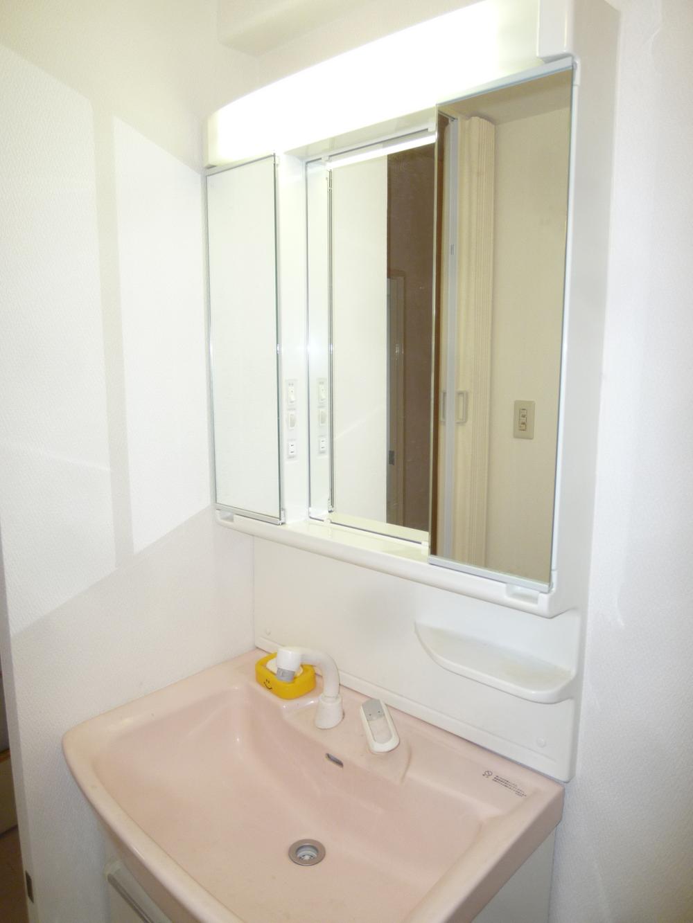 Wash basin, toilet. 2013 November 8 shooting