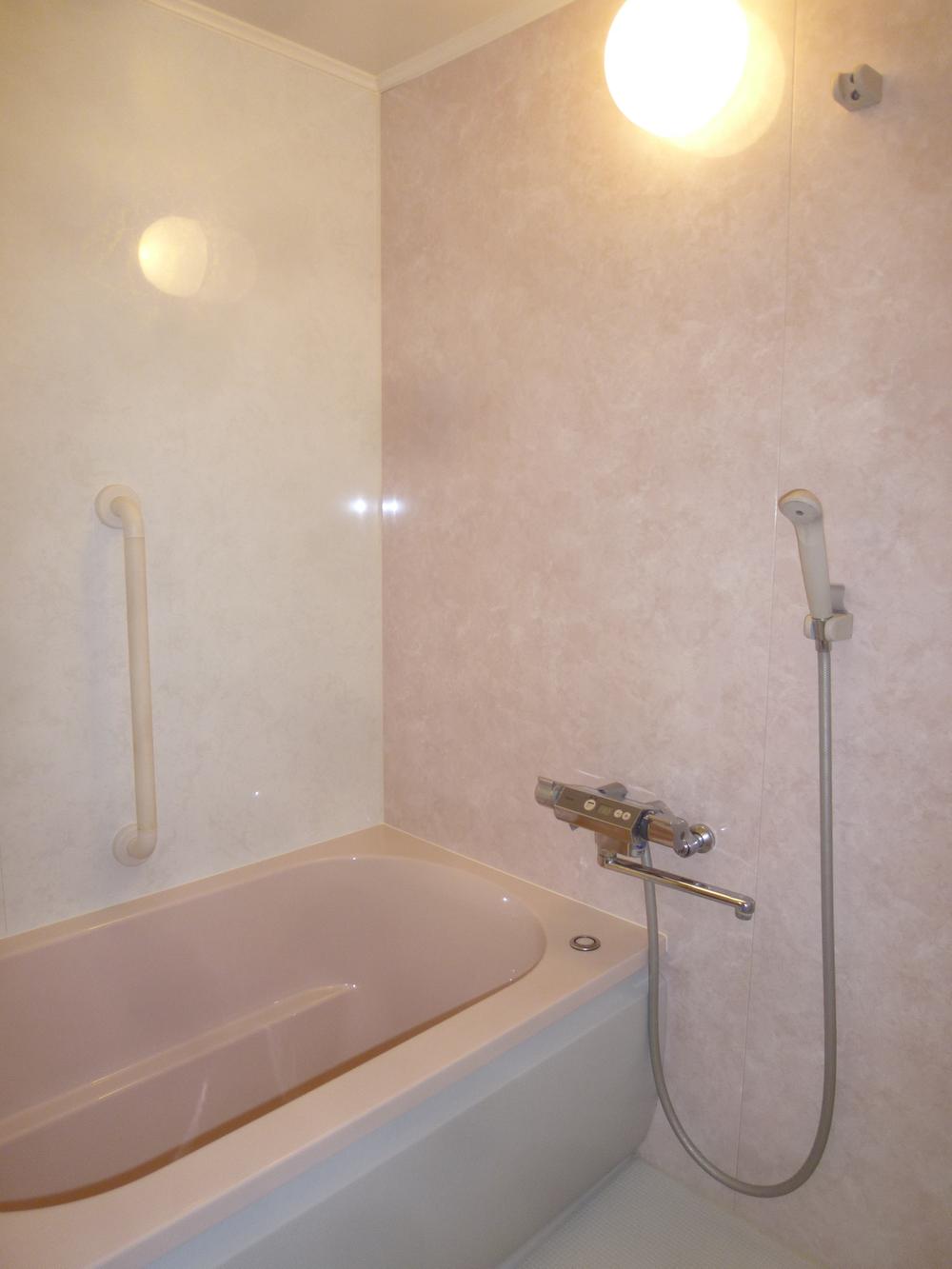 Bathroom. 2013 November 8 shooting TOTO made thermos tub