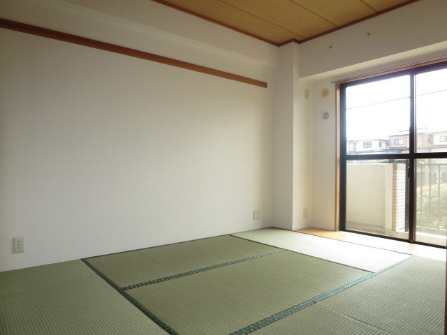 Living and room. Rooms settle down Japanese-style room