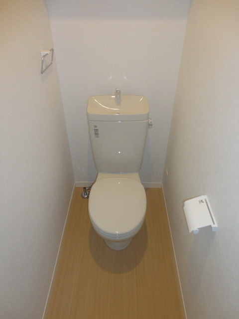 Toilet. Western-style toilet