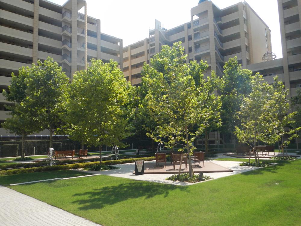 Garden. Apartment in the courtyard