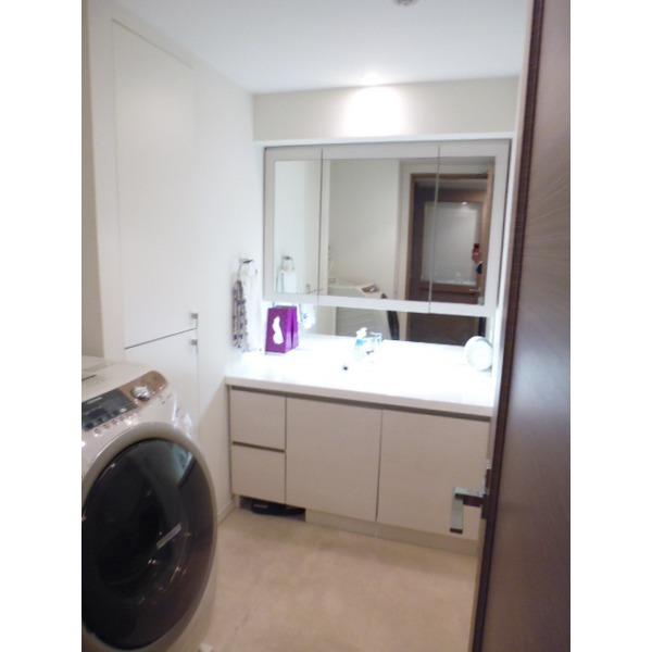 Wash basin, toilet. Also housed there in the wash room