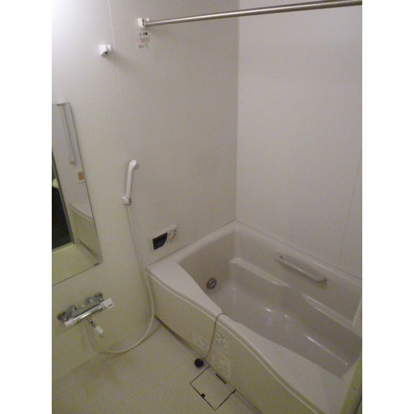 Bath. Bathroom Dryer, With additional heating
