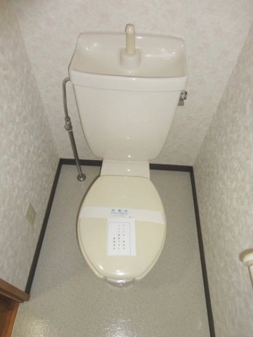 Toilet. It is a Western-style toilet with cleanliness