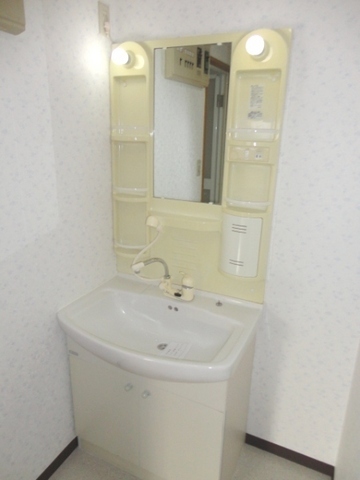 Washroom. Mirror is happy with storage washbasin