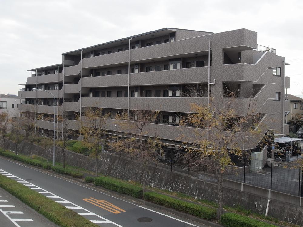 Local appearance photo. Local (12 May 2013) Shooting