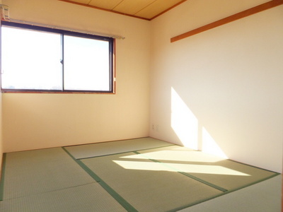 Living and room. Sunny Japanese-style