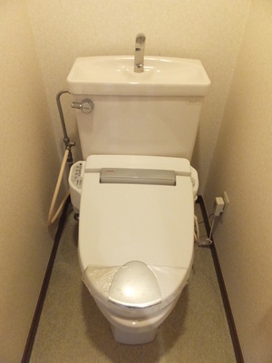 Toilet. With warm water washing toilet seat