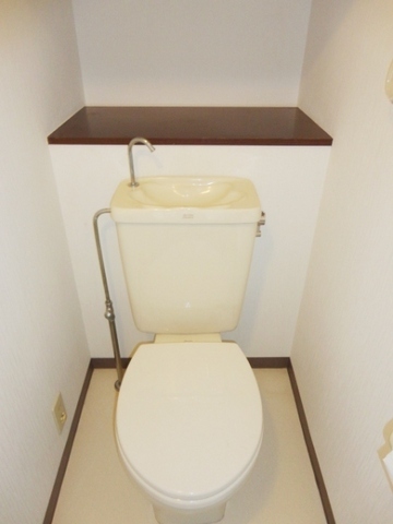 Toilet. Beautiful Western-style toilet