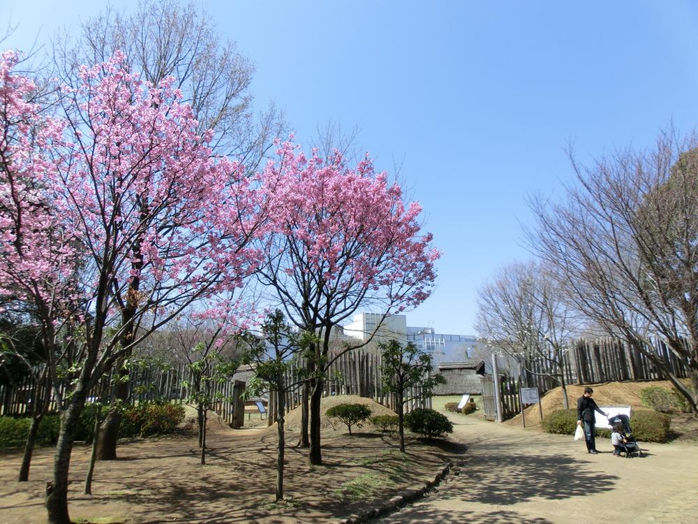 park. Otsuka ・ 150m until age Kachido Archeological Park