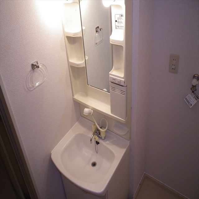 Washroom. Shampoo dresser. Plenty of storage. 