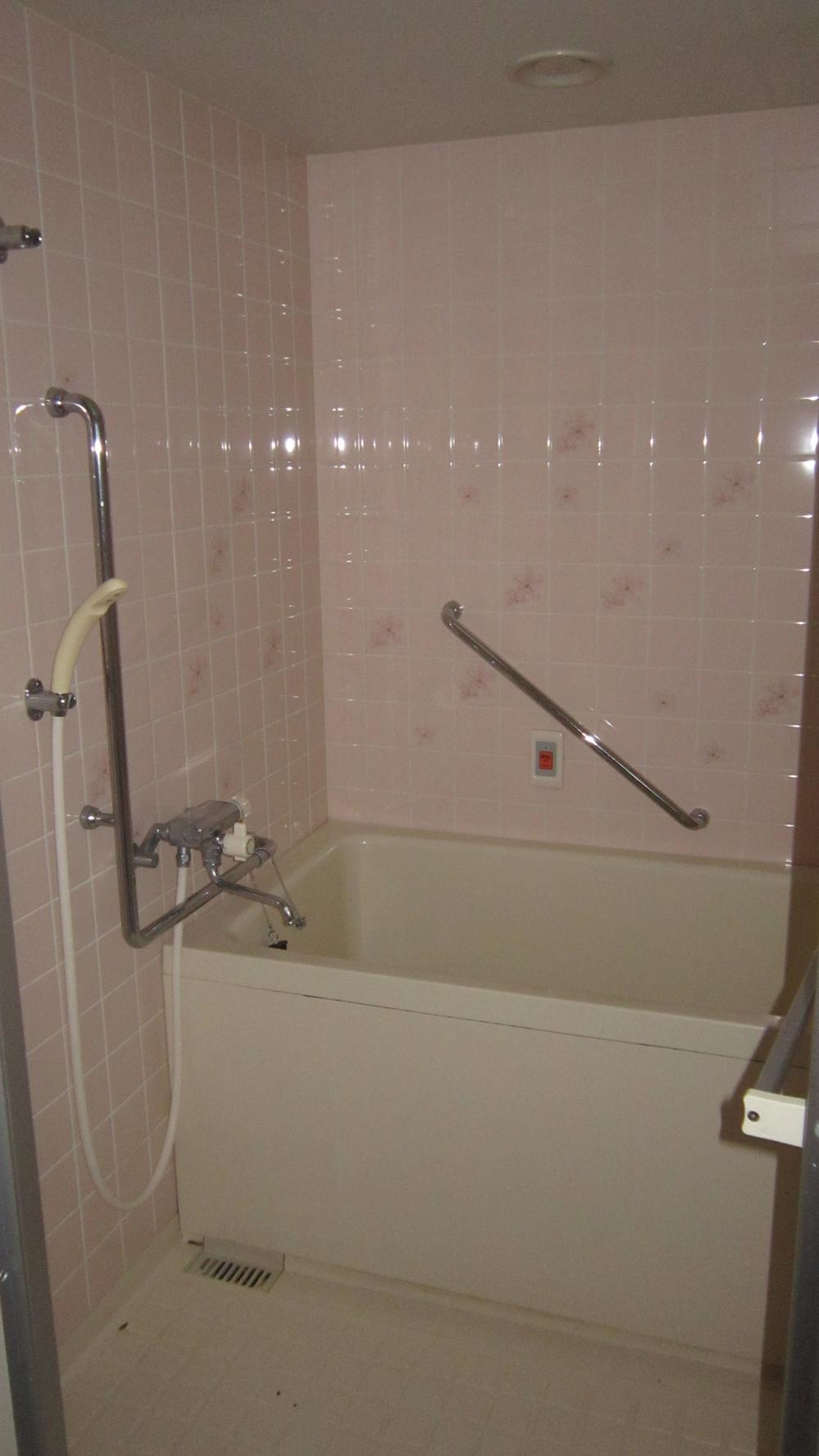 Bathroom. Indoor (March 2013) Shooting