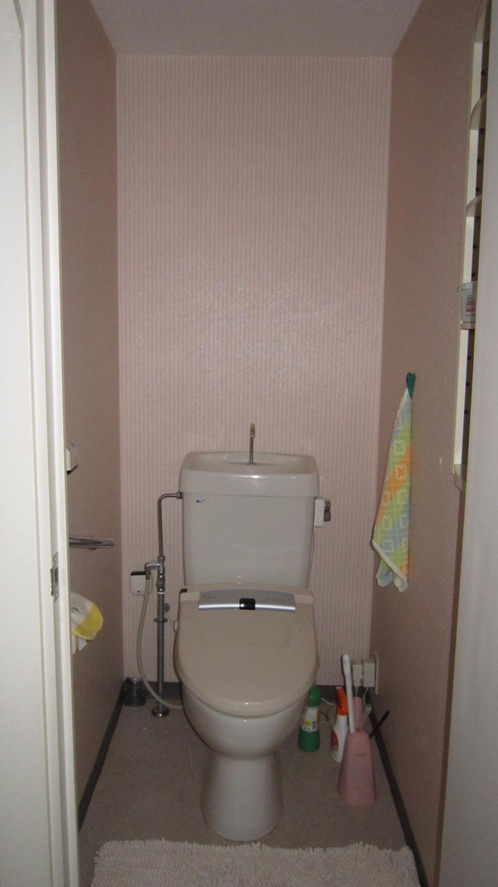 Toilet. Indoor (March 2013) Shooting
