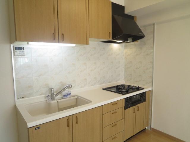 Kitchen. Indoor (12 May 2013) Shooting