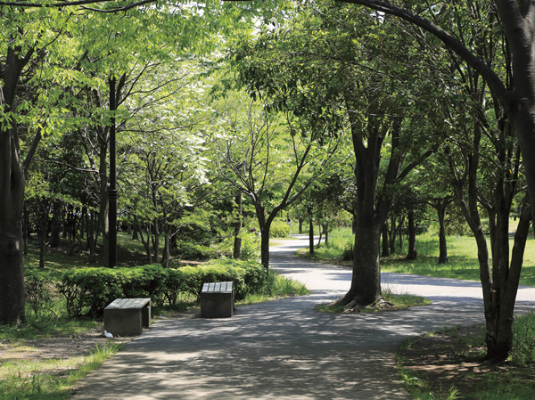 Surrounding environment. Around Ya Yamazaki park, Lush landscape might follow green road "Kusabue of the road.". holiday, And a leisurely stroll with your family, Why not try to feel the green of moisture. (Kusabue road / 6 mins ・ About 420m)