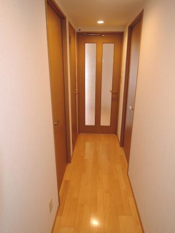 Other introspection. Corridor part