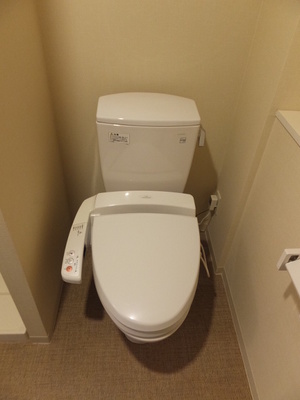 Toilet. With cleaning toilet seat