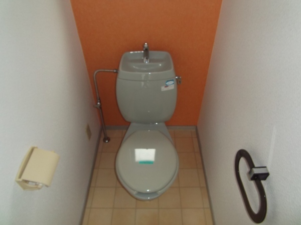 Toilet. Western-style toilet