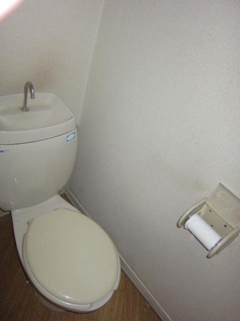 Toilet. Warm water washing toilet seat corresponding Allowed