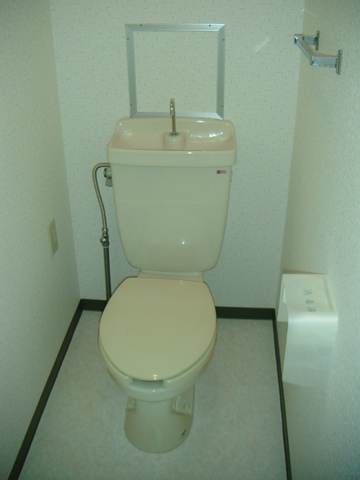 Toilet. Western-style toilet with cleanliness