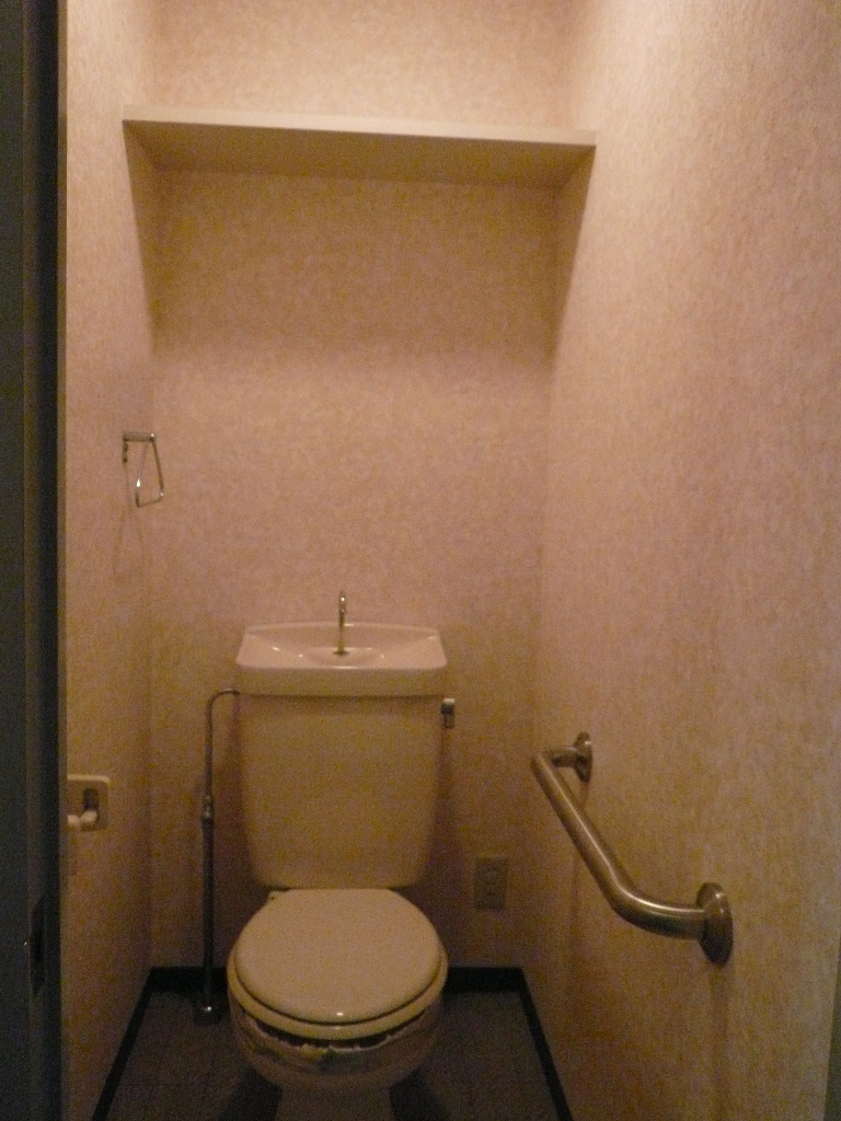 Toilet. toilet  Will be inverted type of photo. 