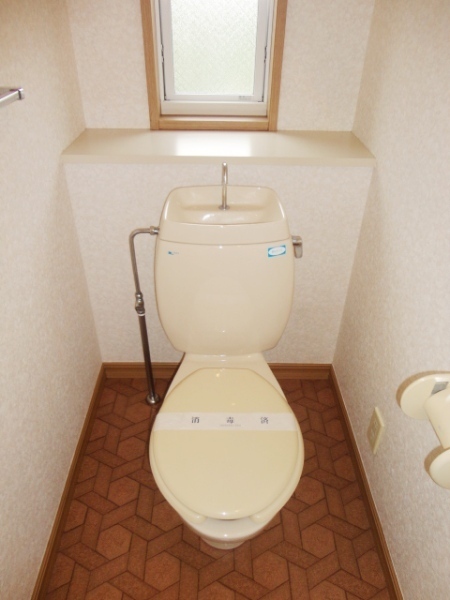 Toilet. Western-style toilet