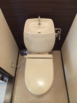 Toilet. Toilet using the accent Cross