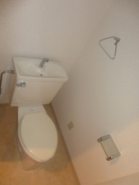 Toilet. It is a Western-style toilet with cleanliness