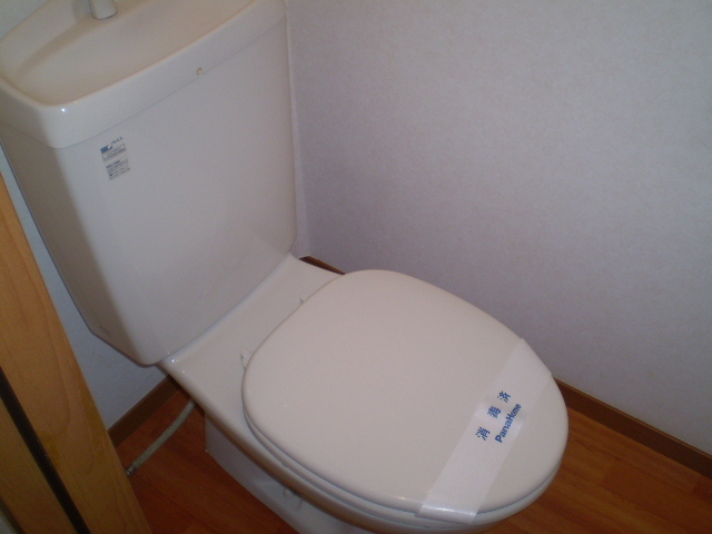 Toilet. Western-style toilet with cleanliness