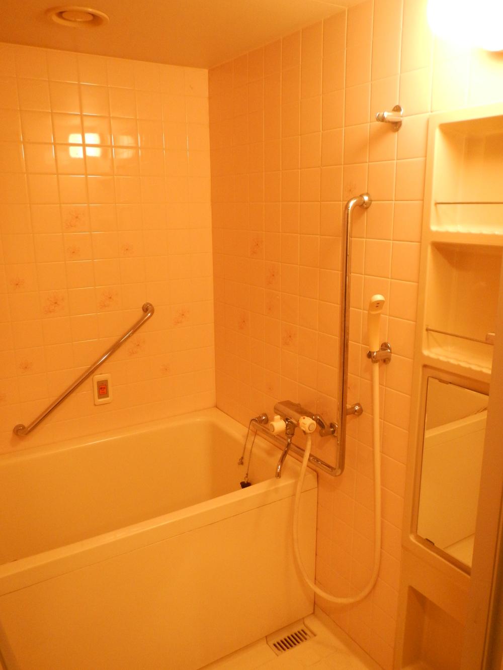 Bathroom. Indoor (11 May 2013) Shooting