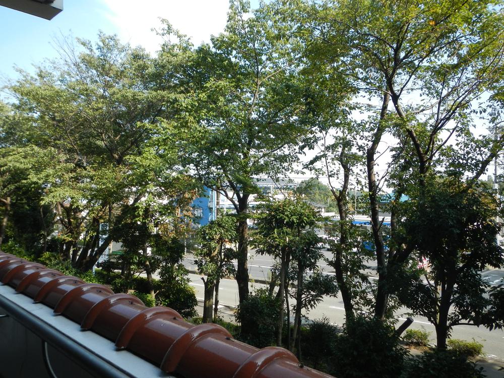 View photos from the dwelling unit. View from the site (November 2013) Shooting