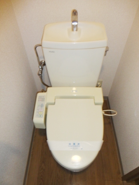 Toilet. Western-style toilet