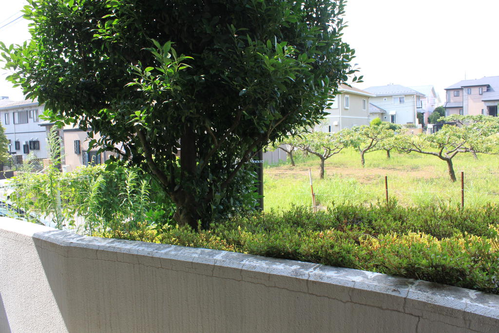 Balcony. Although the first floor, There is a blindfold on, such as planting.