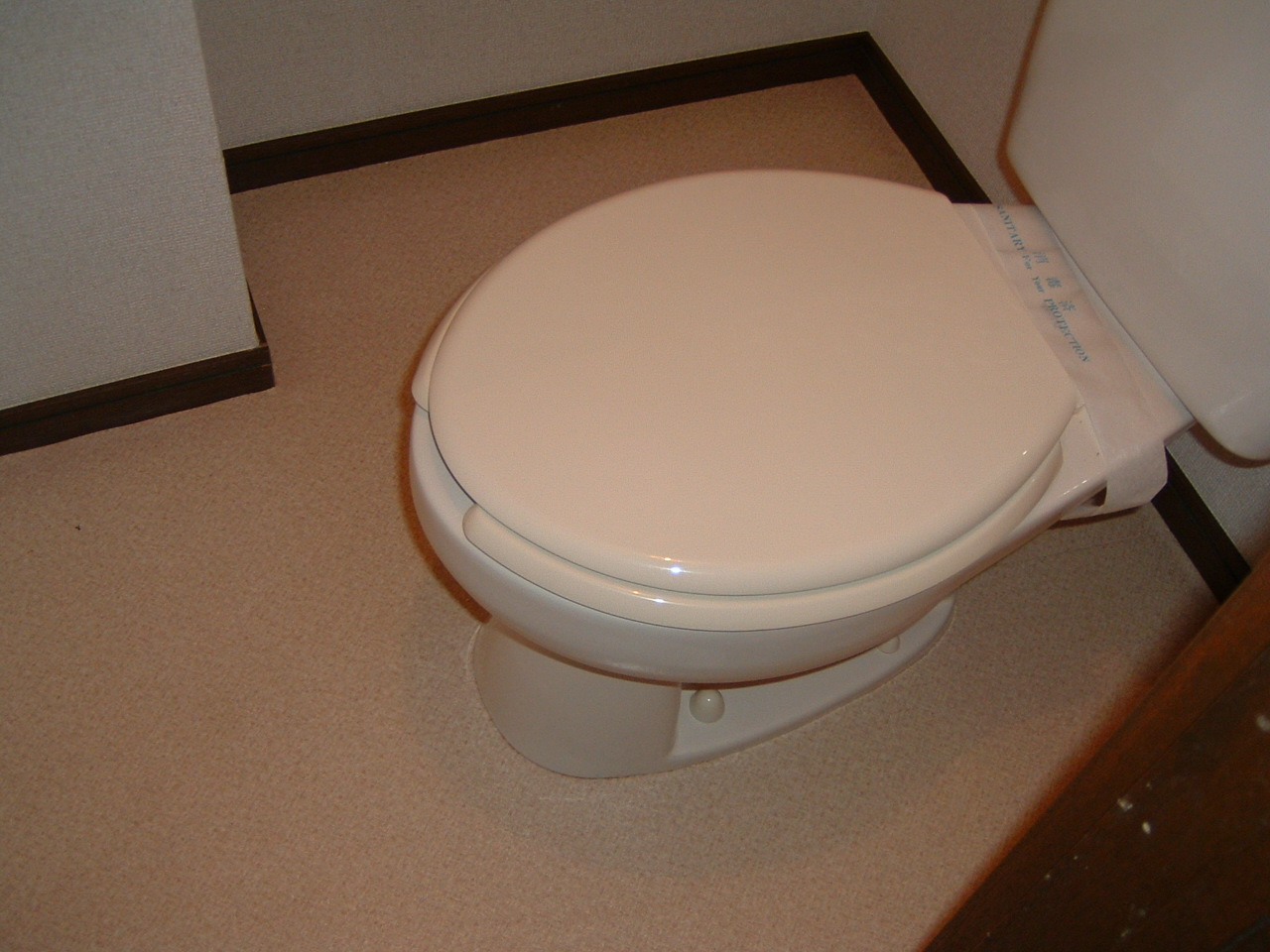 Toilet