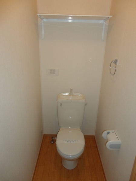 Toilet. Western-style toilet