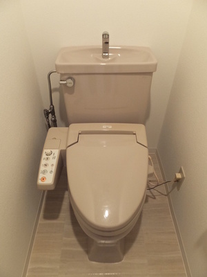 Toilet. With warm water washing toilet seat