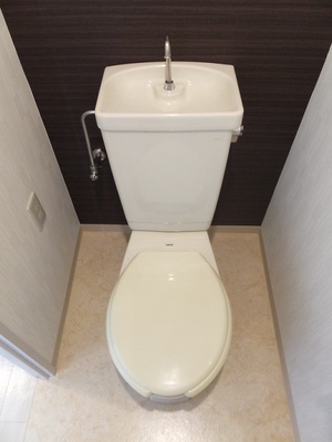 Toilet. Toilet with cleanliness