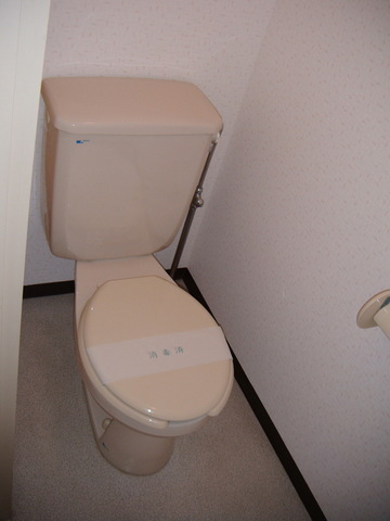 Toilet. Western-style toilet with cleanliness