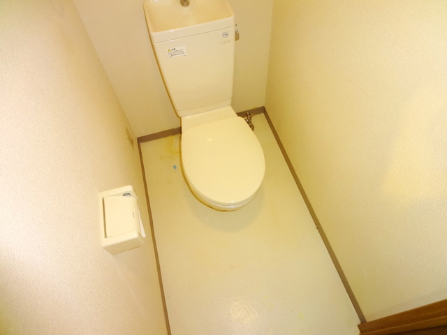 Toilet. Toilet space to settle down