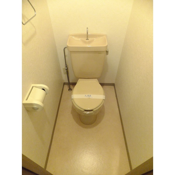 Toilet. Toilet