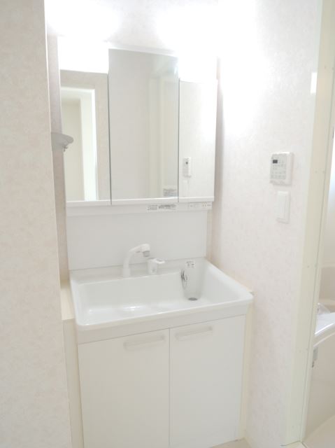 Washroom. Bathroom Vanity