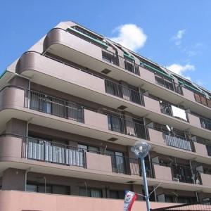 Local appearance photo. Local (11 May 2013) Shooting