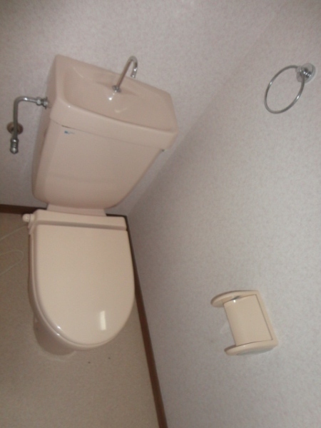 Toilet. Western-style toilet