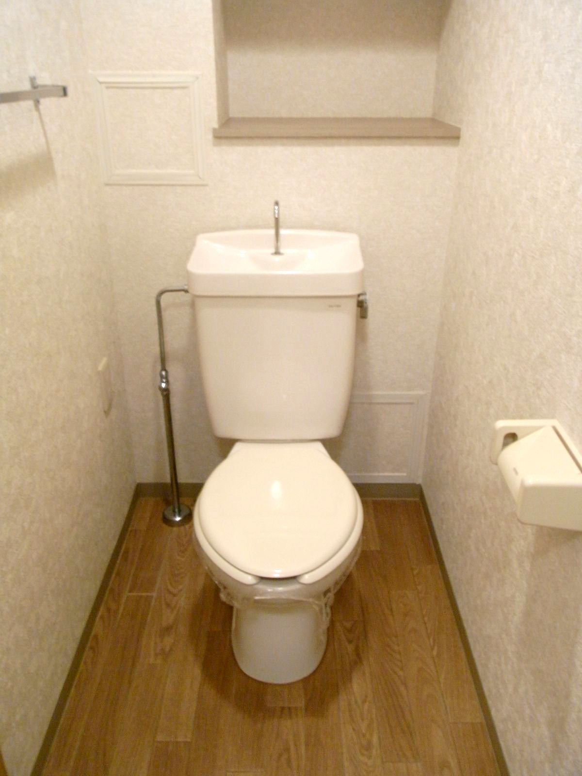 Toilet. Small shelf