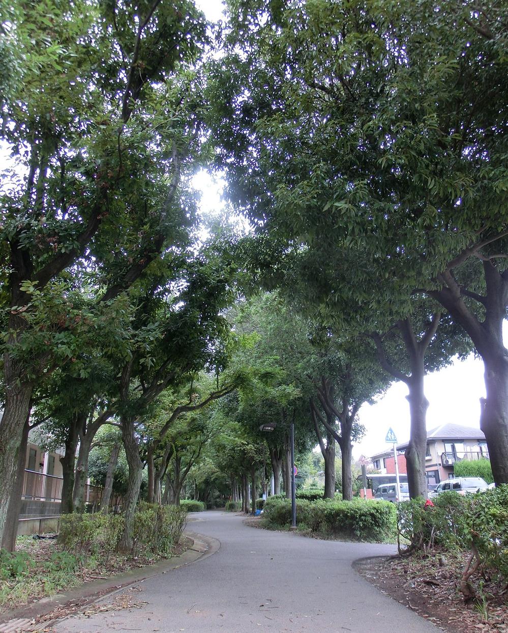 Streets around. Lush surrounding environment. It has also been used as a walk course and school road of pet.