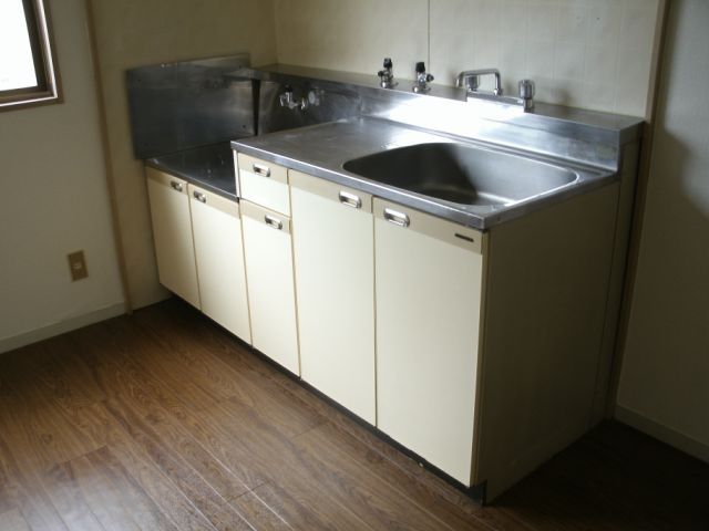 Kitchen. Kitchen sink