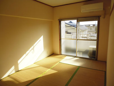 Other room space. Tatami will exchange newly before occupancy